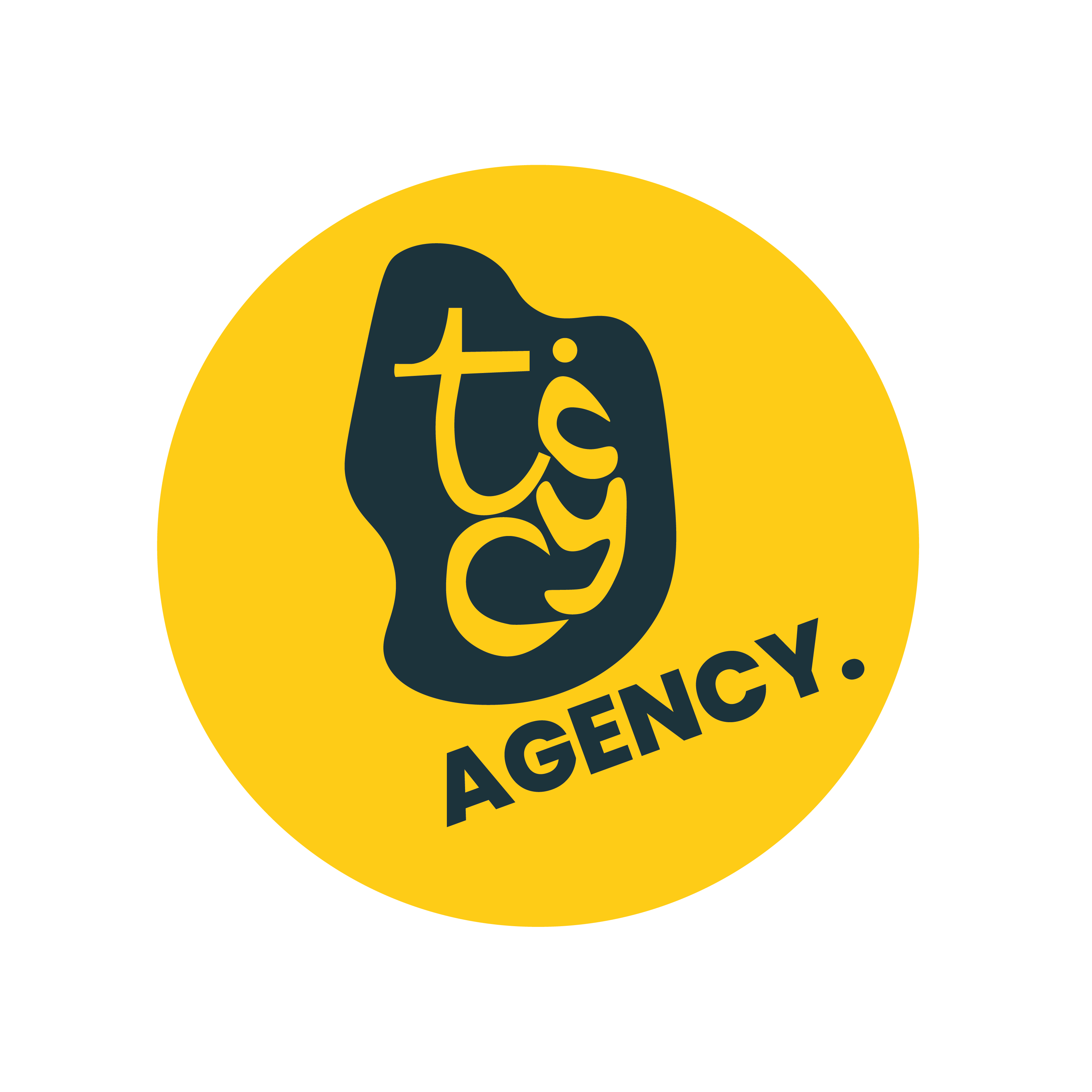 Ticy Agency Logo